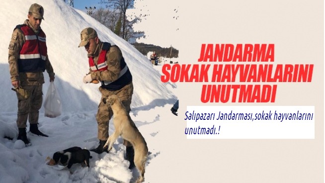 Jandarma’dan Örnek Davranış!