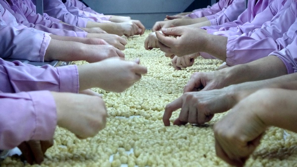 Fındık’ta hedef : Çin pazarı