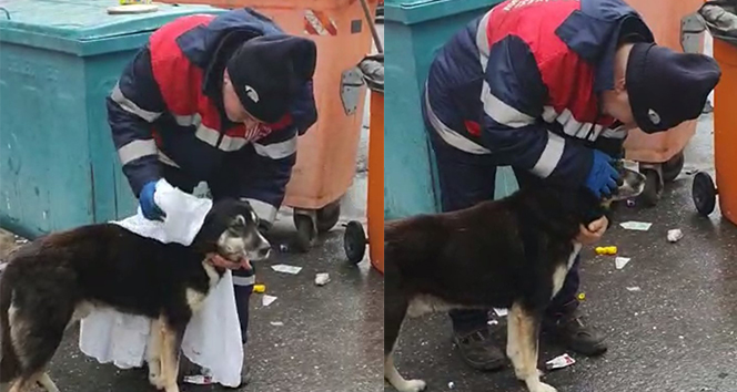 Temizlik işçisi yağmurdan ıslanan köpeği kuruladı, içleri ısıttı