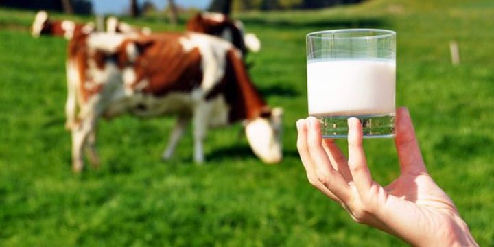 Sağlık Bakanlığı,Her gün Süt Tüketin”Sokak Sütü” Almayın!