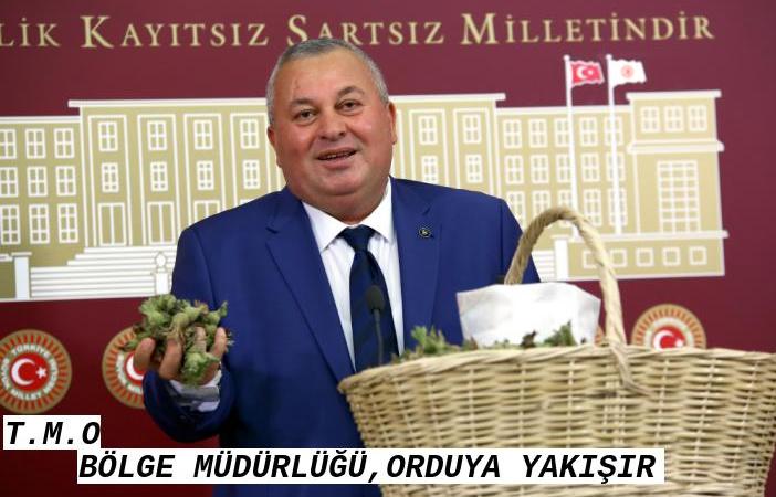 CEMAL ENGİNYURT: ORDU FINDIĞIN MERKEZİ OLMALI