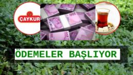 ÇAYKUR ÜRETİCİ ÖDEMELERİNE BAŞLADI