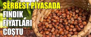 FINDIK FİYATLARI YÜKSELİŞTE!