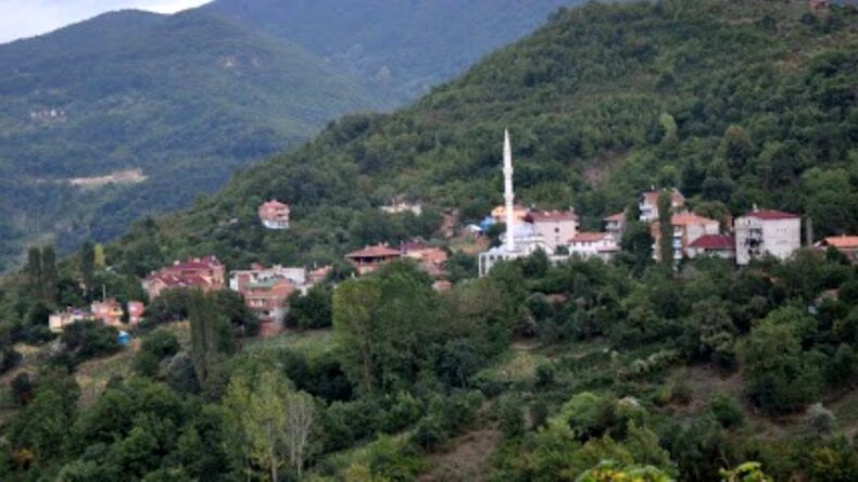 Ayancık ta bir mahalle karantinaya alındı