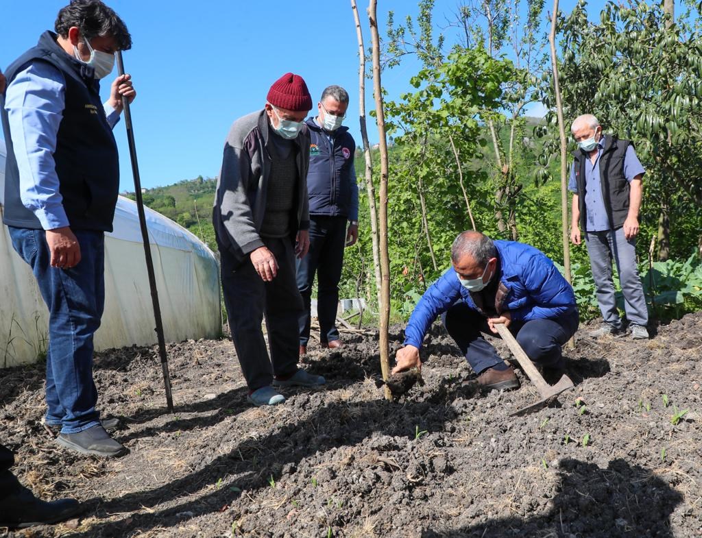 ORDU VALİ’Sİ OT BİÇTİ TOHUM EKTİ TIRPAN SALLADI