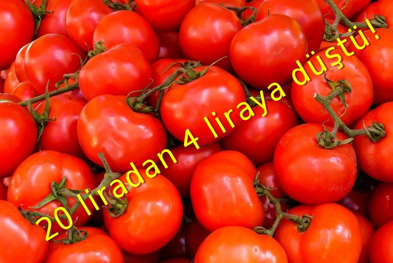 Domates’te Büyük Düşüş!