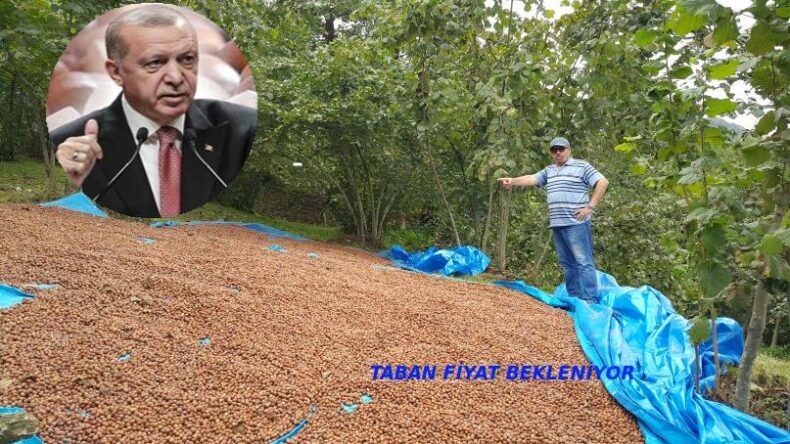 Tayyip Erdoğan: Fındık üreticisini Enflesyona ezdirmeyeceğiz!