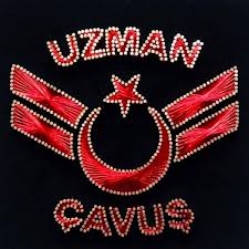 BAHÇELİ,UZMAN ÇAVUŞLAR İÇİN DEVREDE!