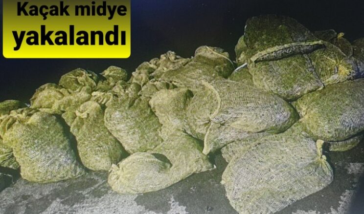 Samsun’da Kaçak Midye avcıları yakalandı