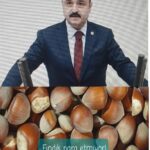 TABAN FİYAT ALTINDA FINDIK ALANLARA YAPTIRIM UYGULANACAK